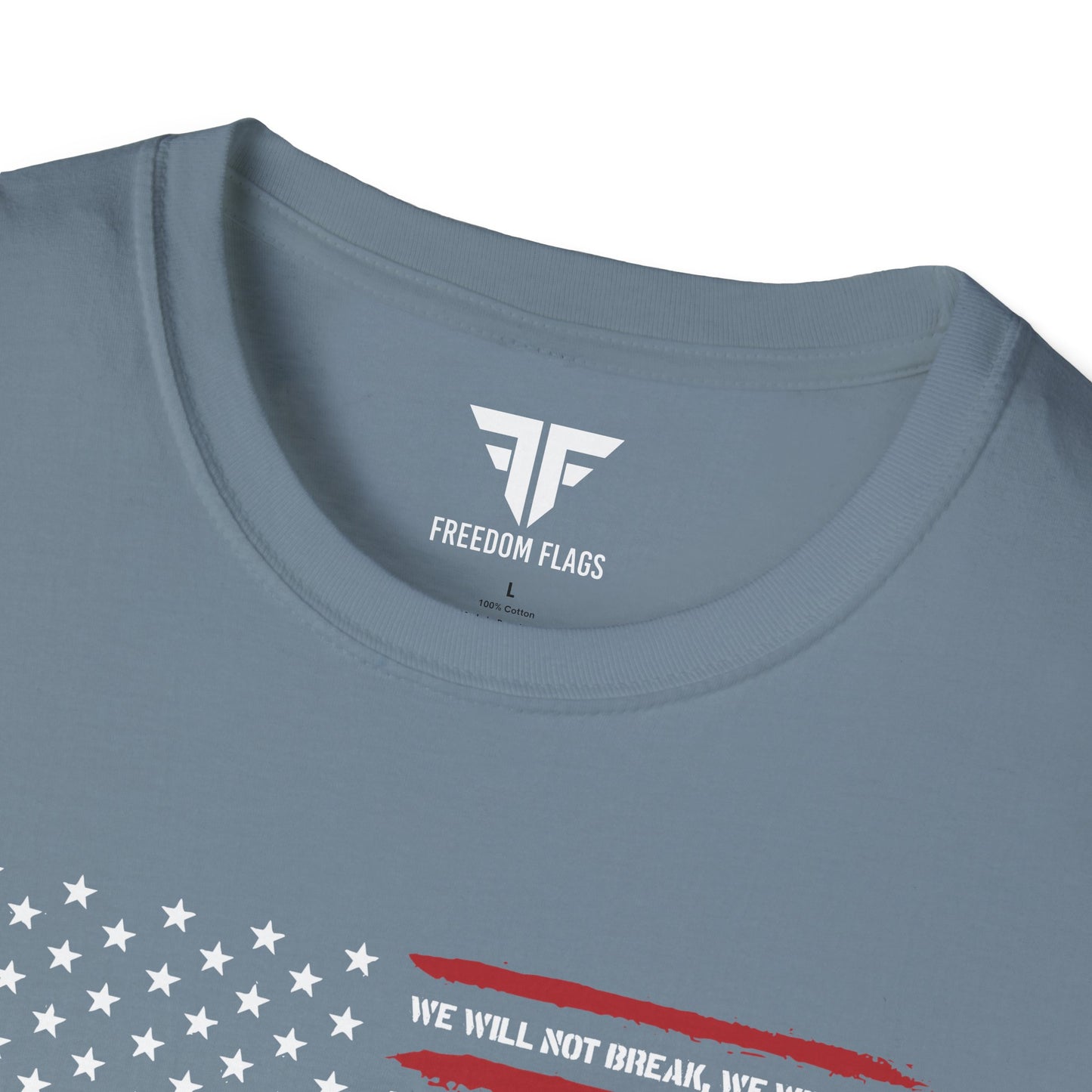 Vintage American Flag Proclamation Tee