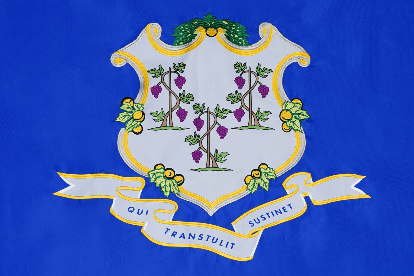 Coat of arms with grapevines and leaves on a blue background