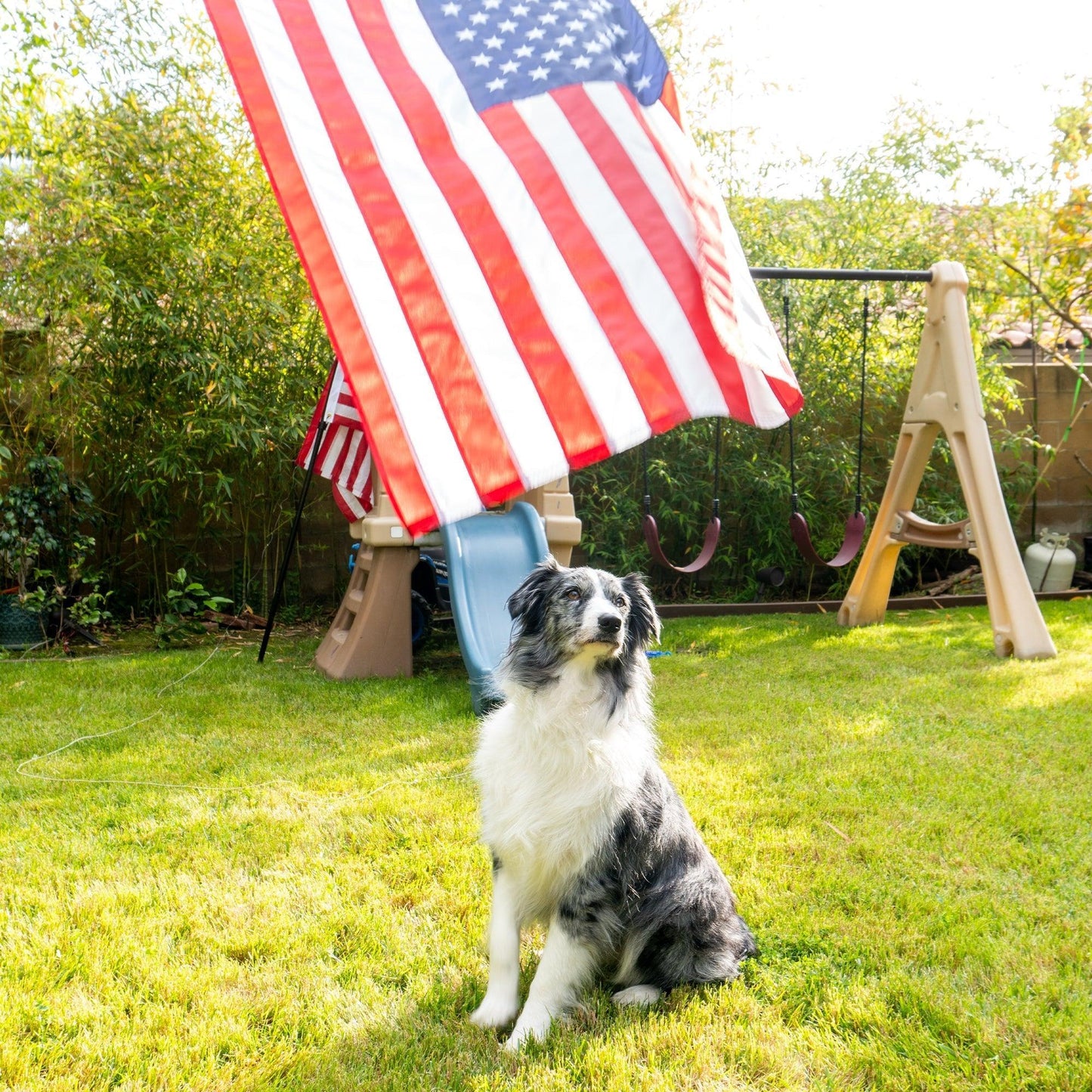 Premium American Flag Display Set - Durable US Made Flag, Pole, Mount & Aluminum Rings